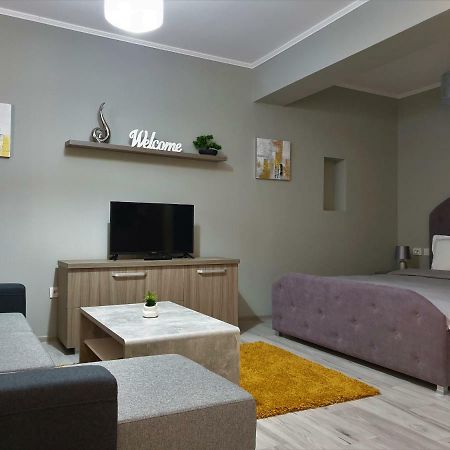 Irina Apartments Timişoara Exterior foto