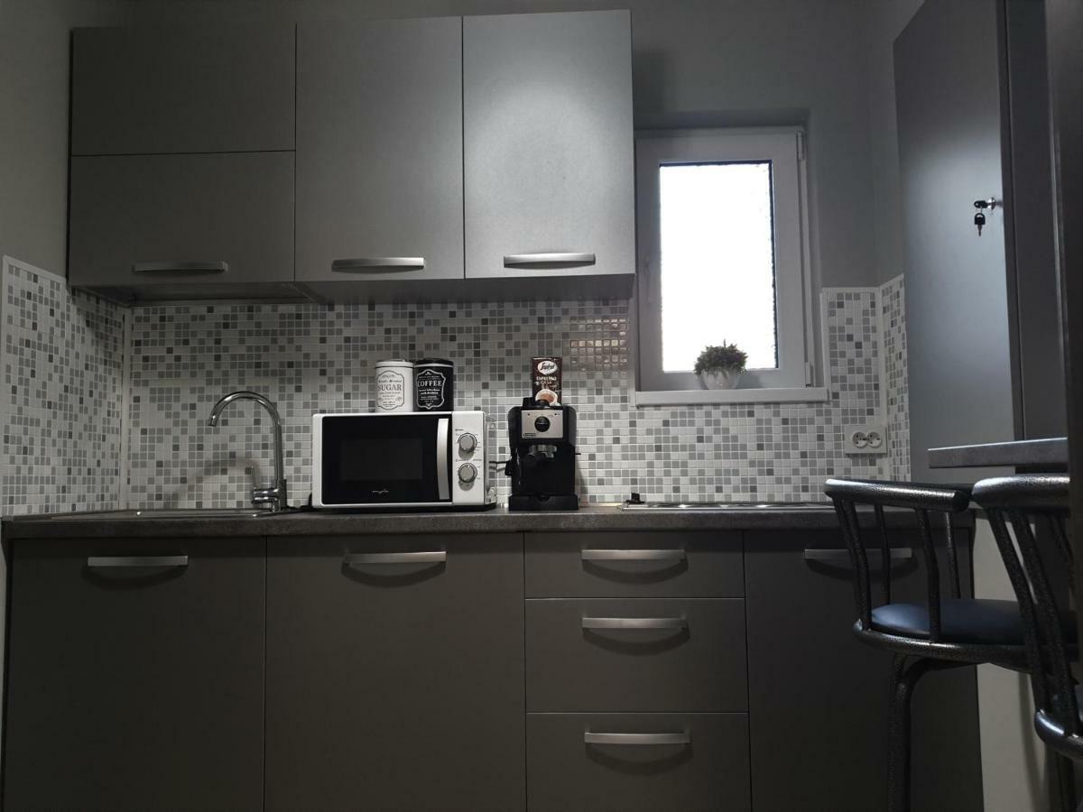Irina Apartments Timişoara Exterior foto